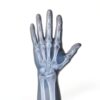 Cestusline Unisex Safety Gloves 3004-2