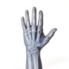 Impact Safety Gloves Cestusline Cut Resistant-3