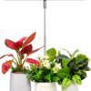 Grow Light LORDEM Spectrum LED Lamp Adjustable Height Dimmable-0
