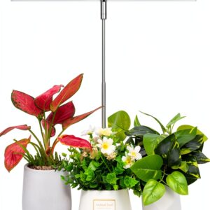 Grow Light LORDEM Spectrum LED Lamp Adjustable Height Dimmable-0