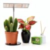 Grow Light LORDEM Spectrum LED Lamp Adjustable Height Dimmable-4