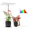 Grow Light LORDEM Spectrum LED Lamp Adjustable Height Dimmable-1