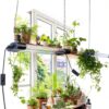 Hlite 16inch 4 Pack LED Grow Lights - Linkable Grow Lights for Indoor Plants, Full Spectrum Plant Lights Plug and Hanging Design with On/Off Switch Hanging Grow Light from seedling to Flowering, Black-3