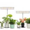 Grow Light LORDEM Spectrum LED Lamp Adjustable Height Dimmable-5